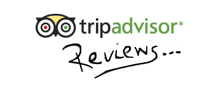 TripAdvisor Reviews